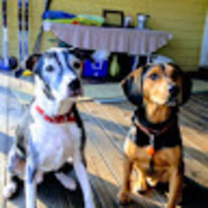 Meet your Posher, Tom